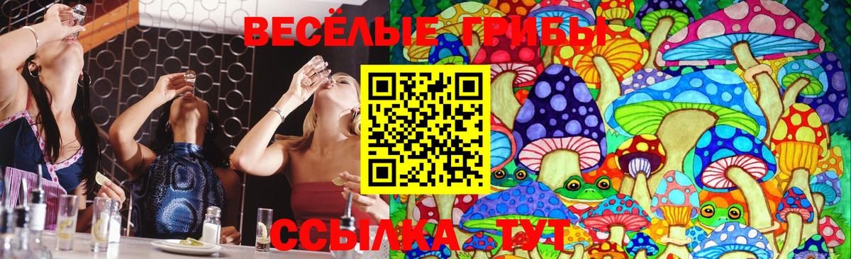 Псилоцибиновые грибы мицелий  Псилоцибиновые грибы GOLDEN TEACHER  Пыть-Ях  Вход с VPN 